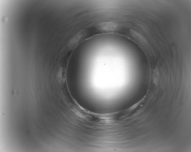 X0000069360428200605150921