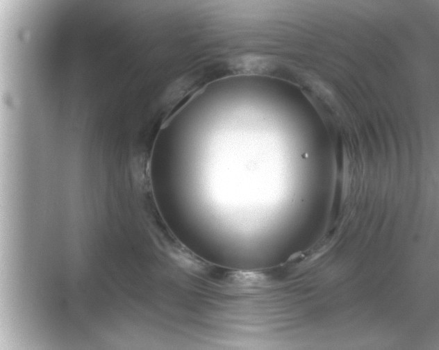 X0000069360429200605150921