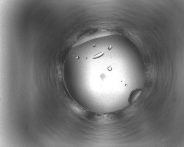 X0000069360430200605150921