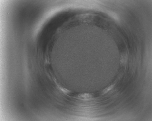 X0000069360431200605150921