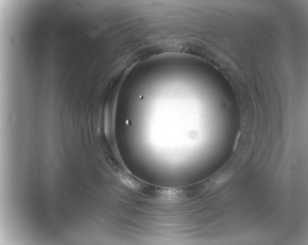 X0000069360432200605150921