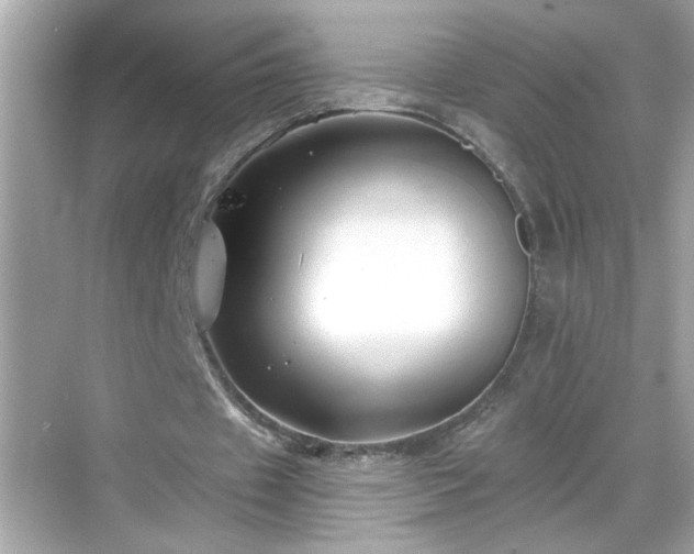 X0000069360433200605150920