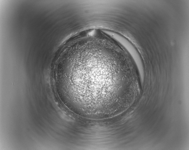 X0000069360434200605150920