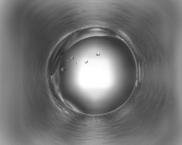 X0000069360435200605150920