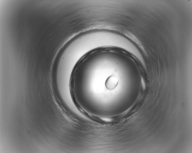 X0000069360436200605150920