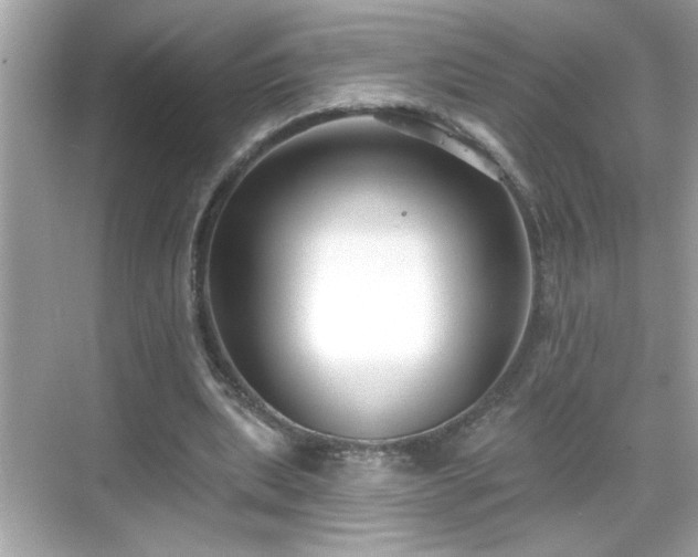 X0000069360439200605150920