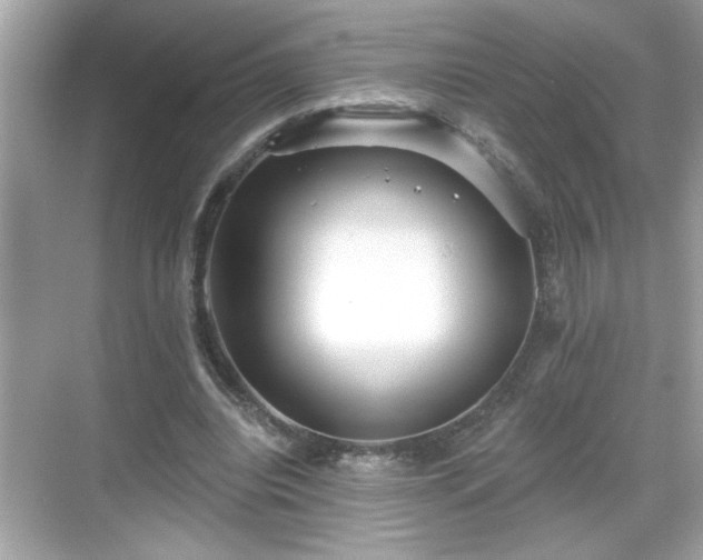 X0000069360440200605150920