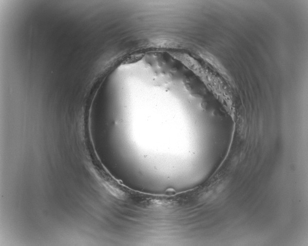 X0000069360442200605150920