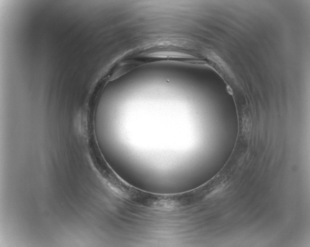 X0000069360444200605150920