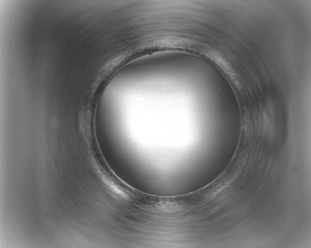 X0000069360445200605150921