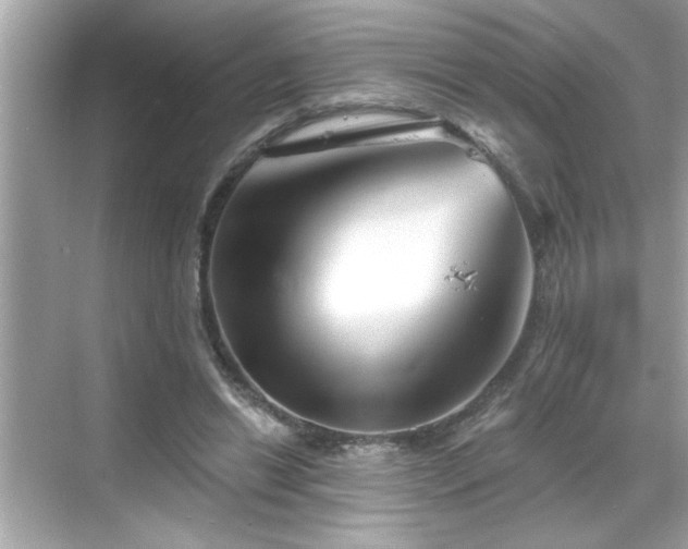 X0000069360446200605150921