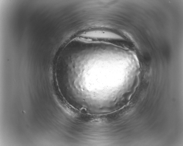 X0000069360447200605150921