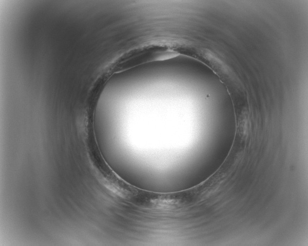 X0000069360448200605150921