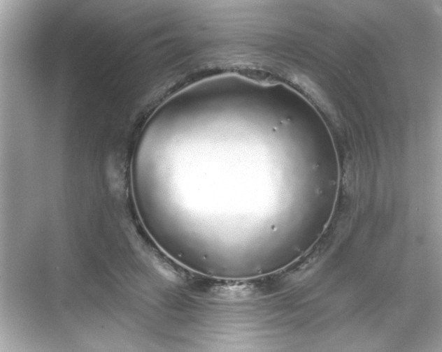 X0000069360449200605150921