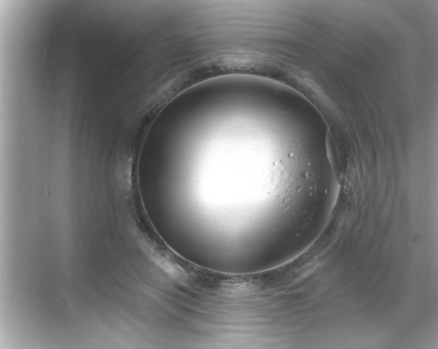 X0000069360454200605150921