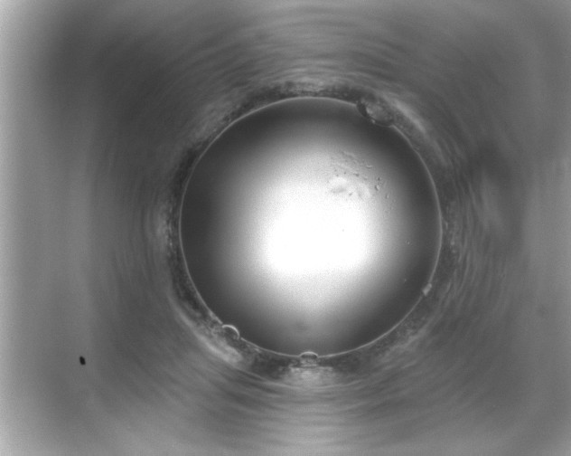 X0000069360455200605150921