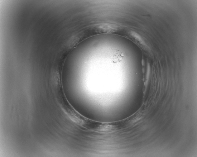 X0000069360459200605150921