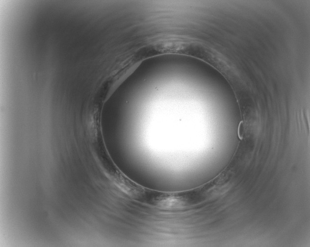 X0000069360460200605150921