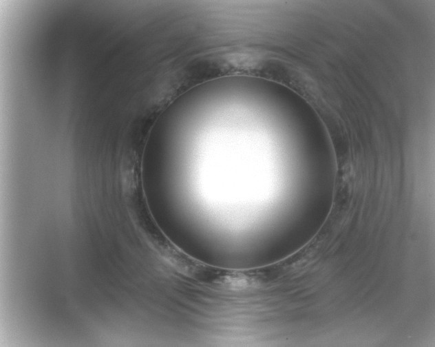 X0000069360464200605150921