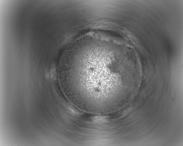 X0000069360465200605150921