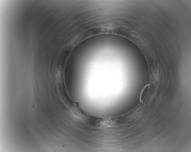 X0000069360468200605150921