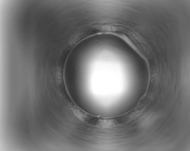 X0000069360469200605150921