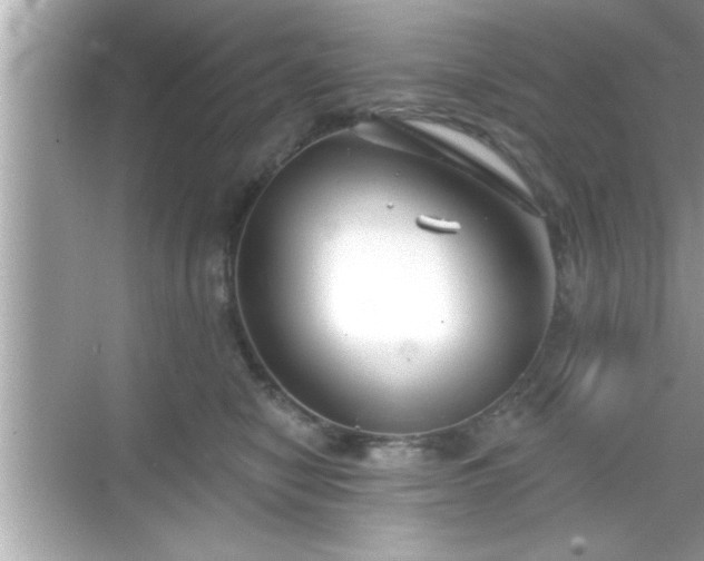 X0000069360470200605150921