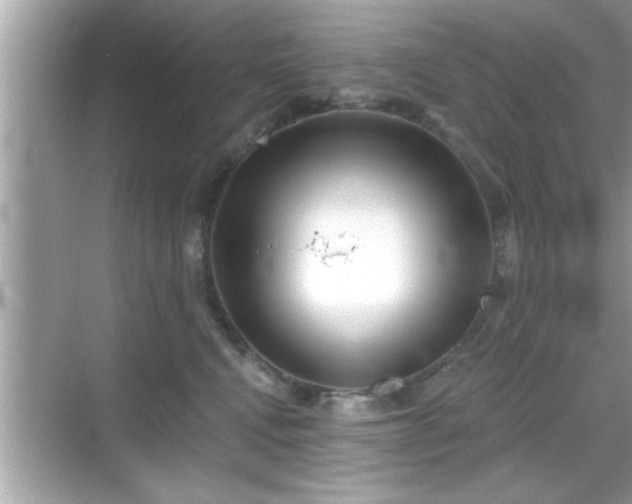 X0000069360472200605150921