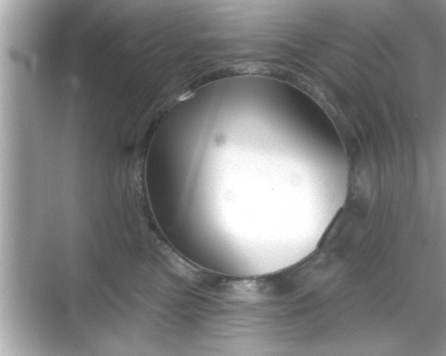 X0000069360473200605150921