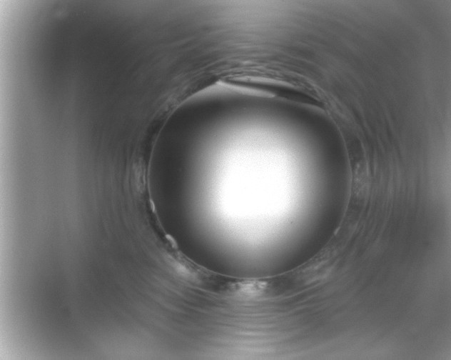 X0000069360474200605150921