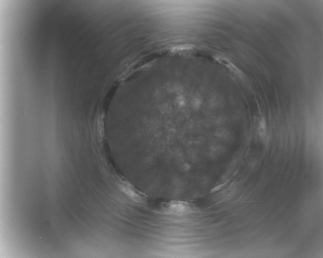 X0000069360475200605150921