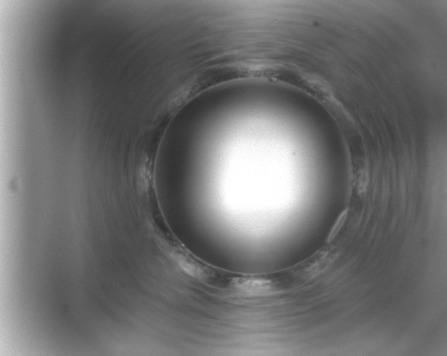 X0000069360476200605150921