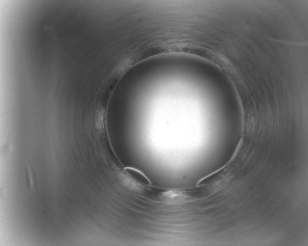 X0000069360477200605150921