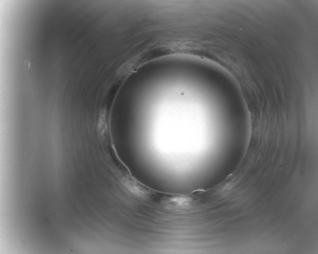 X0000069360478200605150921