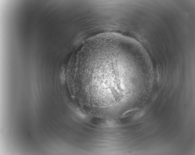 X0000069360479200605150921