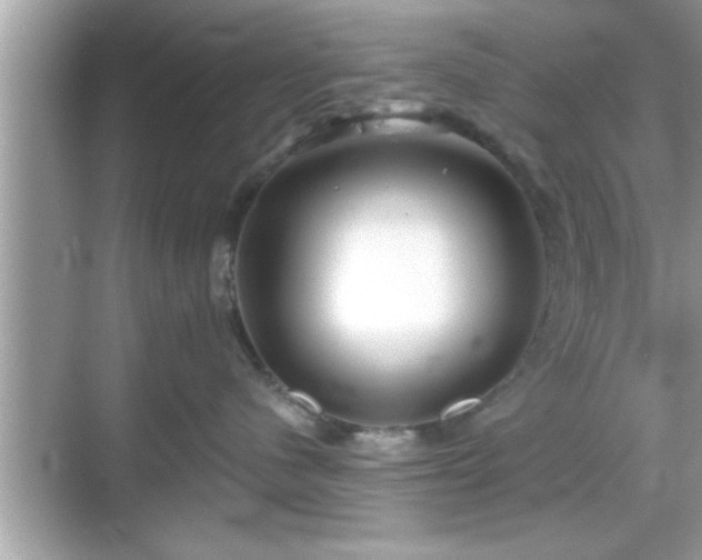 X0000069360480200605150921