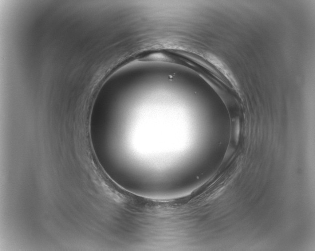 X0000069360481200605150920