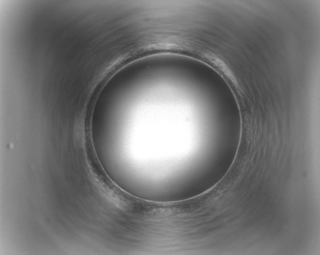 X0000069360482200605150920