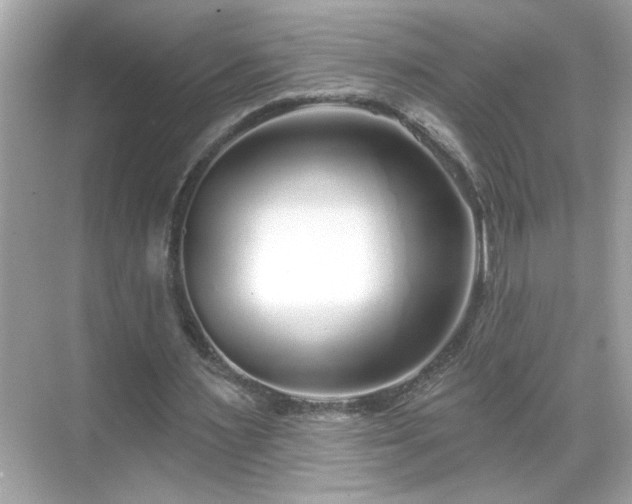 X0000069360483200605150920