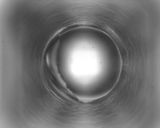 X0000069360484200605150920