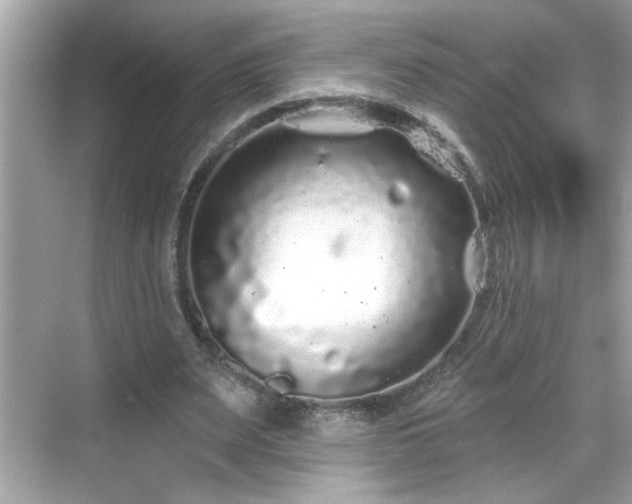 X0000069360487200605150920