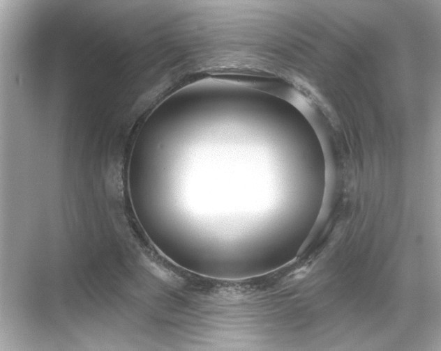 X0000069360489200605150920