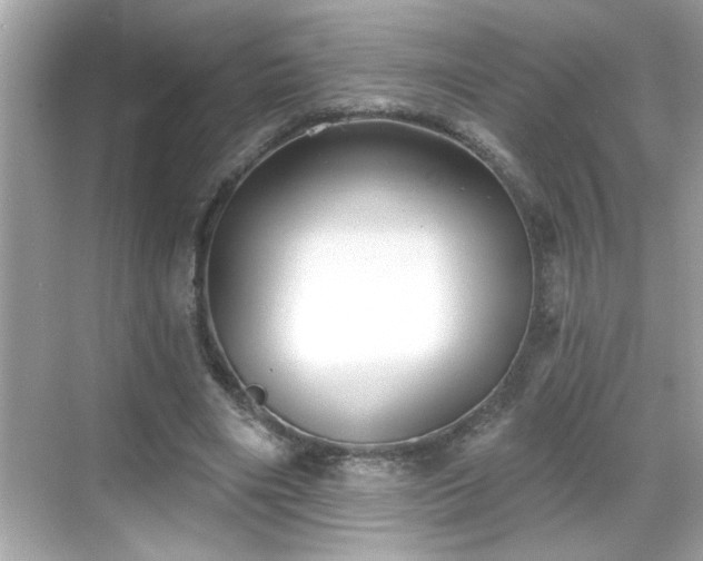 X0000069360490200605150920