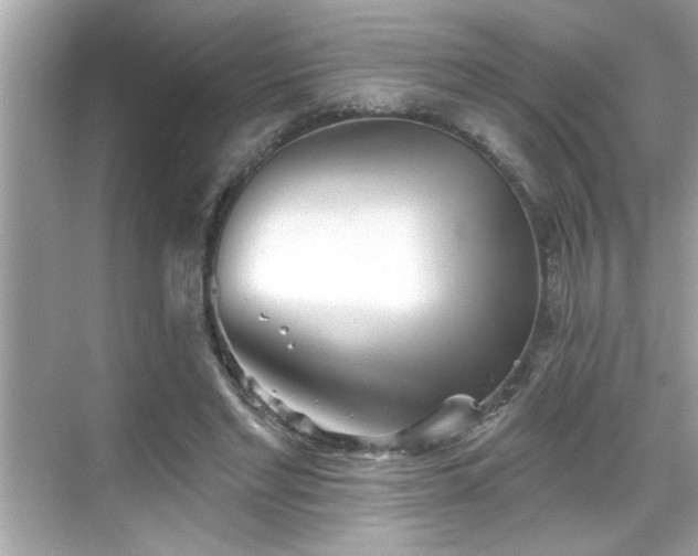 X0000069360493200605150920