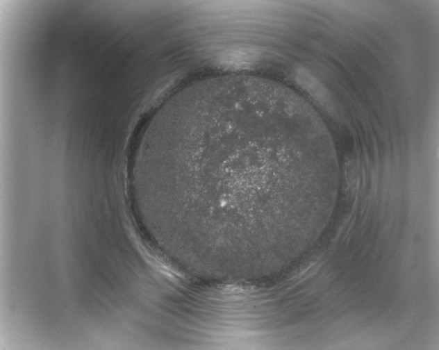 X0000069360494200605150920