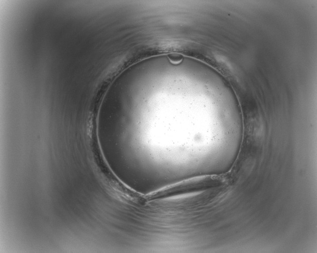 X0000069360495200605150920