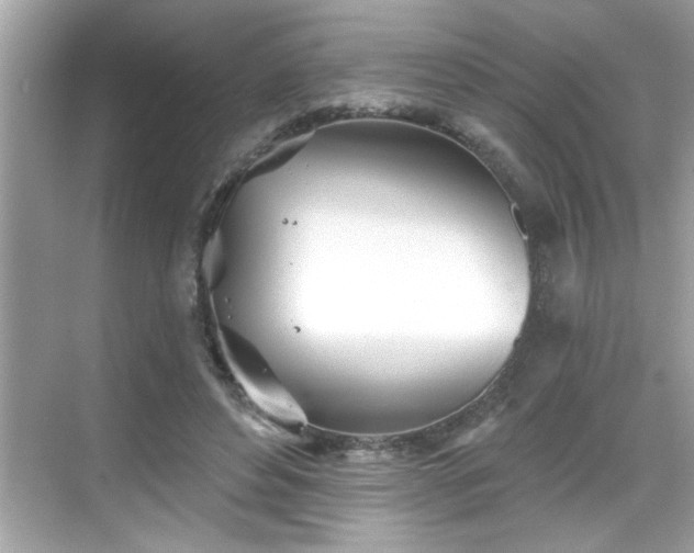 X0000069360496200605150920