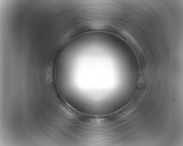 X0000069360497200605150920