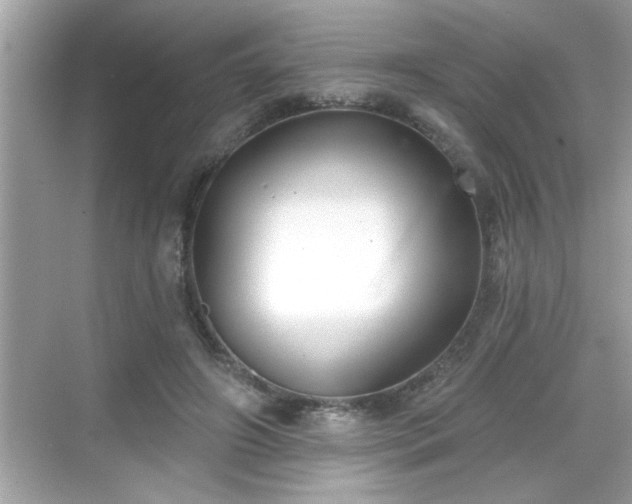 X0000069360498200605150920