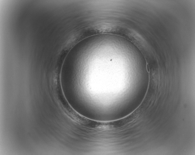 X0000069360499200605150920